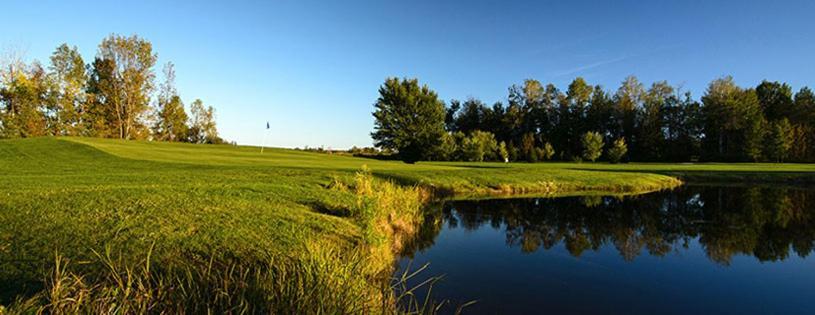 Sunny Birch Cottages Sauble Beach Esterno foto